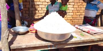 Baisse de prix sur le marché de Zemio